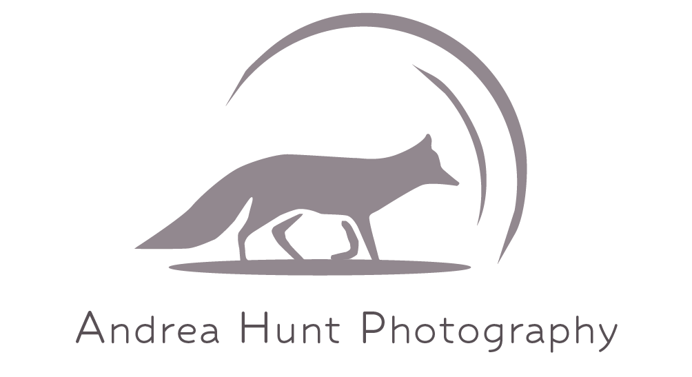 Andrea Photography